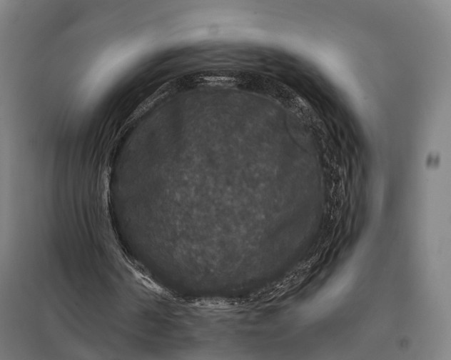 X0000097910194200803281410