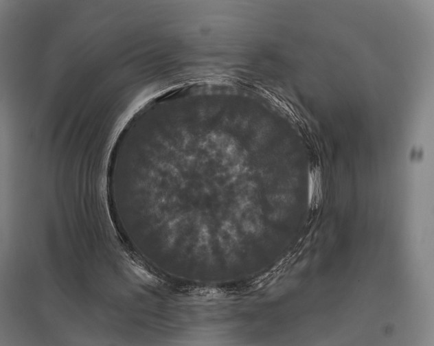 X0000097910195200803281410