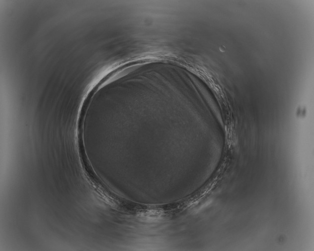 X0000097910196200803281410