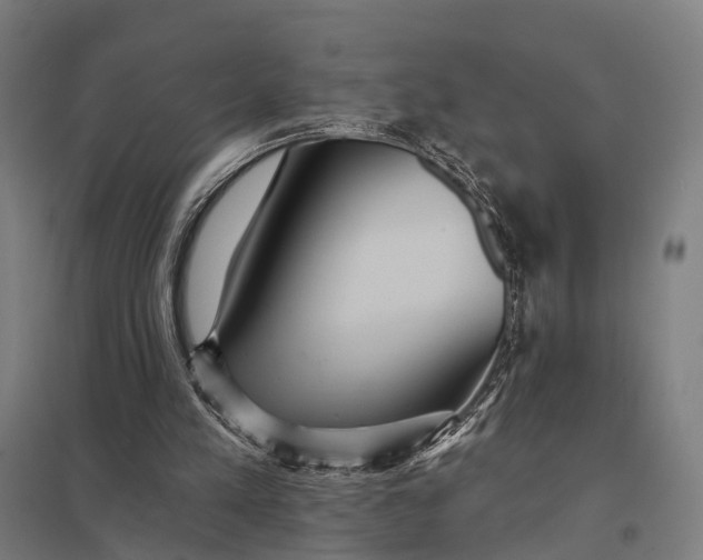 X0000097910197200803281410