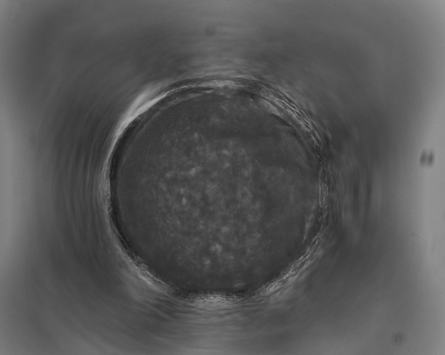 X0000097910198200803281410