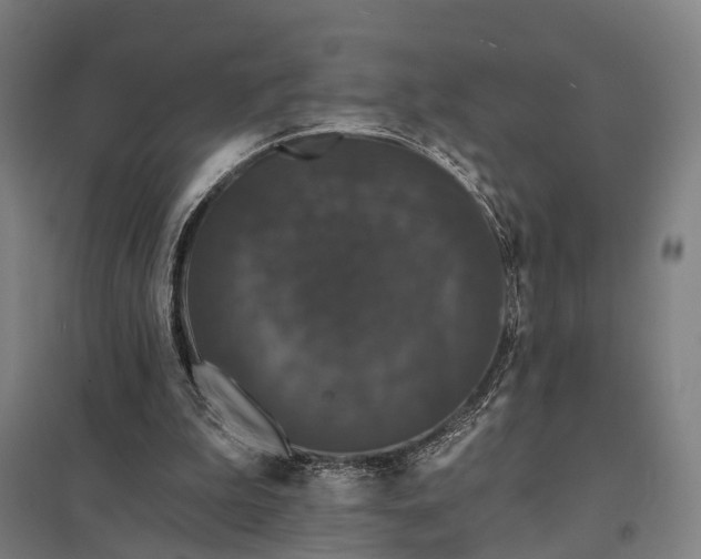 X0000097910199200803281410