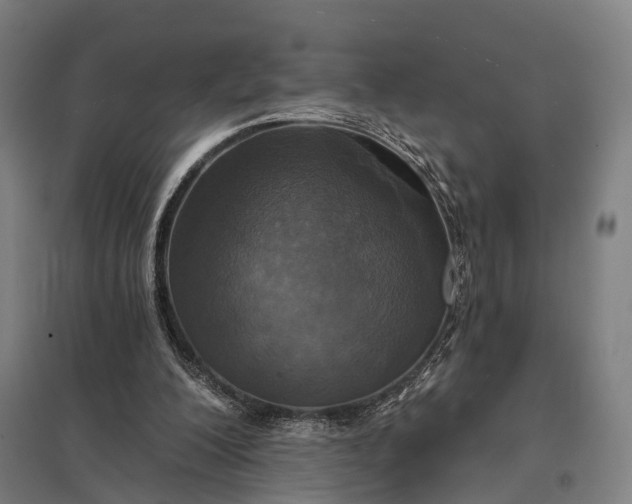 X0000097910200200803281410