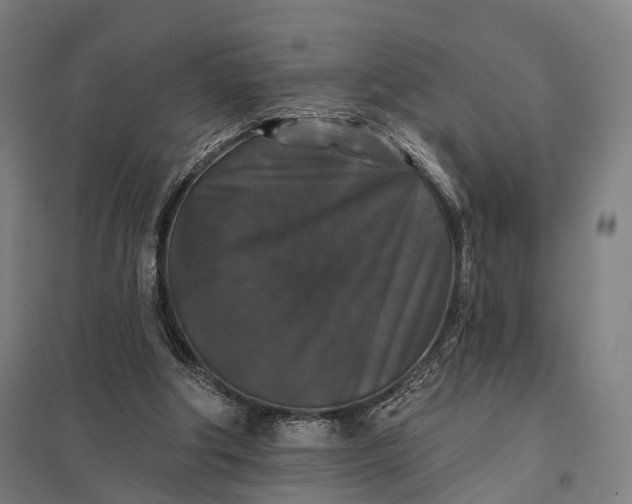 X0000097910202200803281410