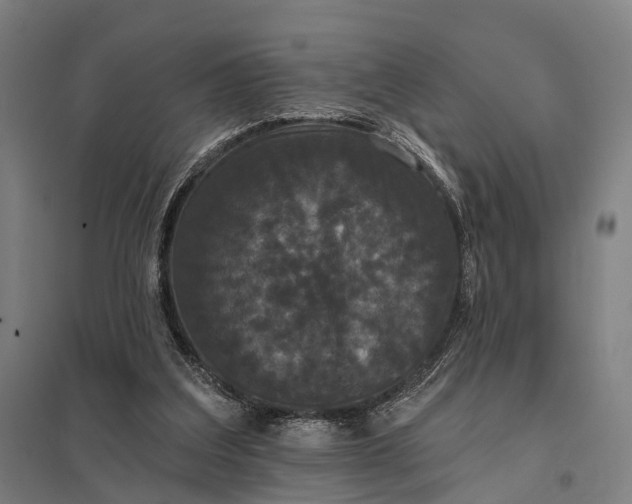 X0000097910203200803281410