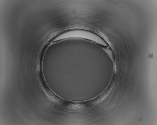 X0000097910205200803281410