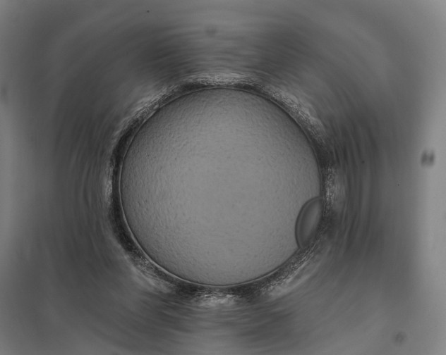 X0000097910206200803281410