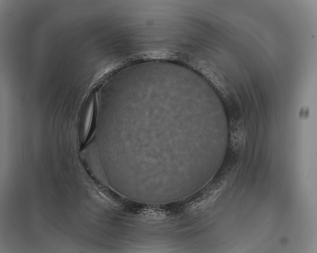 X0000097910207200803281410