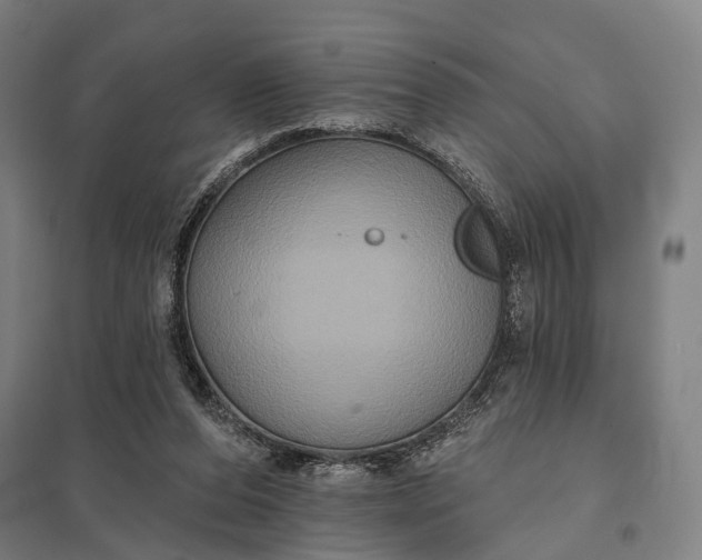 X0000097910208200803281410