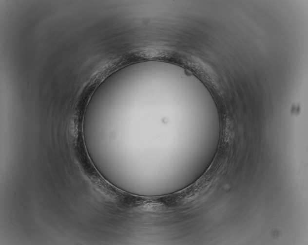 X0000097910210200803281410