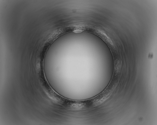 X0000097910213200803281410