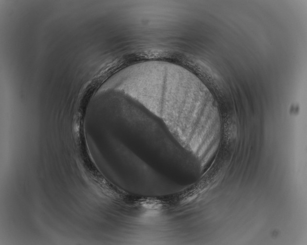 X0000097910214200803281410