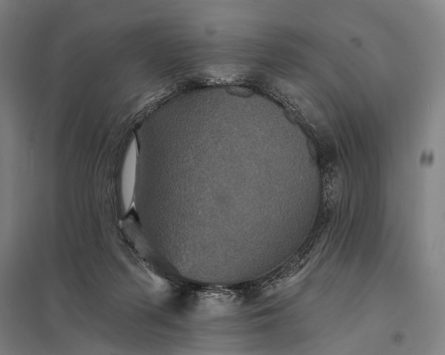 X0000097910215200803281410