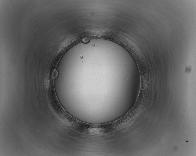 X0000097910216200803281410