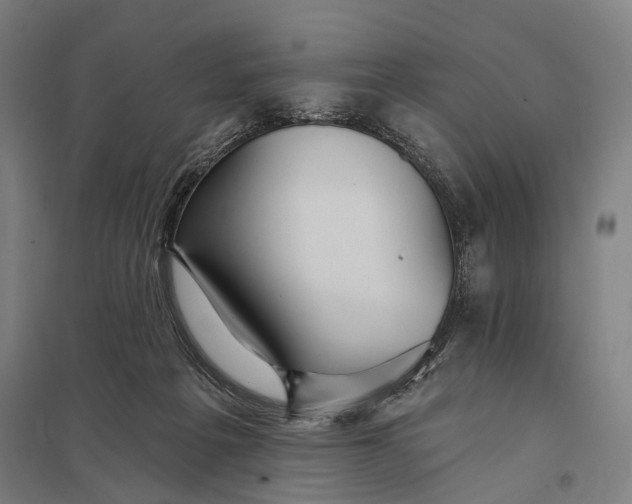 X0000097910217200803281410