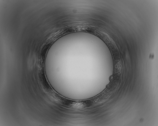 X0000097910218200803281410