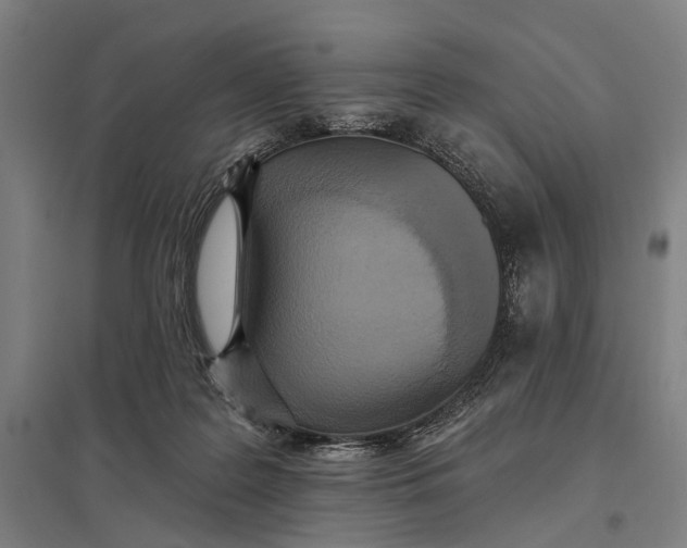 X0000097910219200803281410