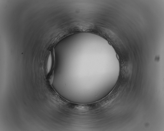 X0000097910221200803281410