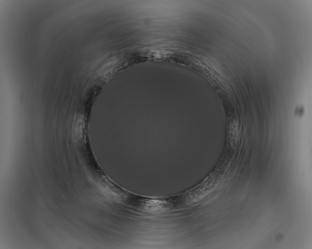 X0000097910222200803281410