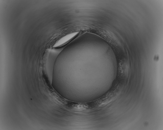 X0000097910223200803281410