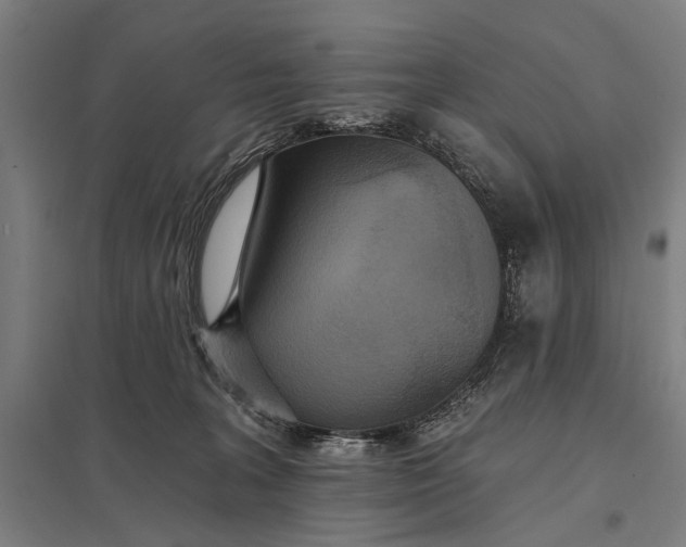 X0000097910227200803281410