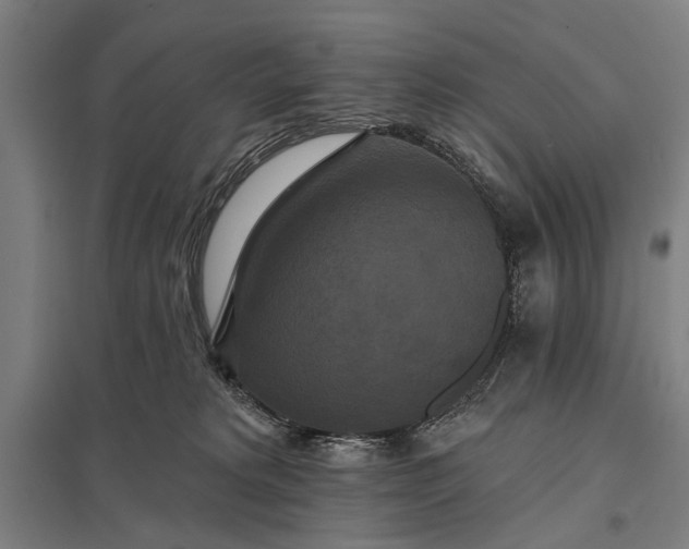 X0000097910229200803281410