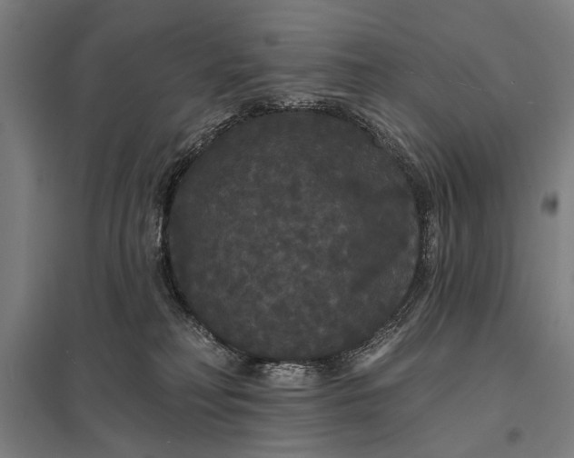 X0000097910230200803281410