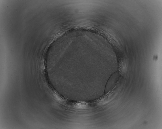 X0000097910232200803281410