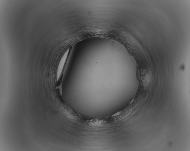 X0000097910235200803281410