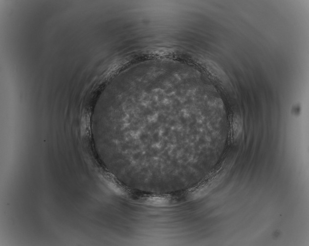 X0000097910236200803281410