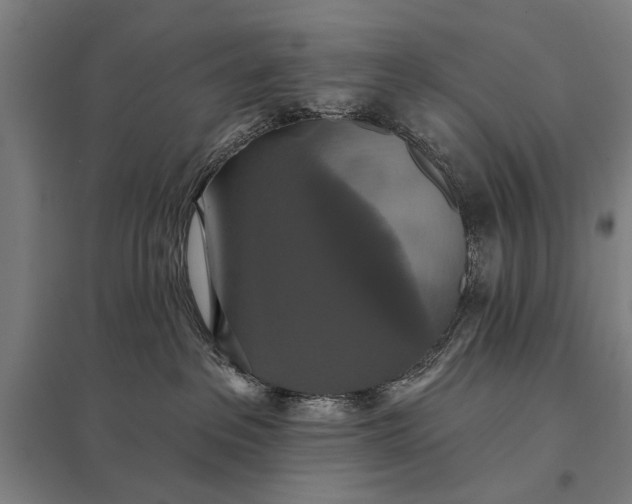 X0000097910237200803281410