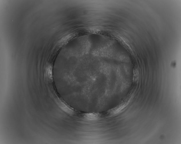 X0000097910238200803281410