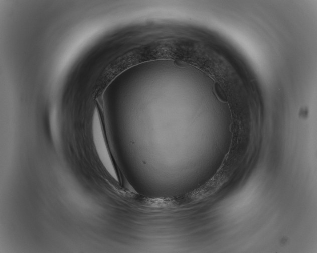 X0000097910239200803281410