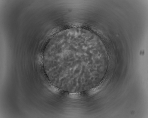 X0000097910240200803281410