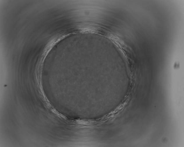 X0000097910241200803281409