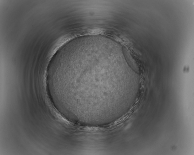 X0000097910242200803281409