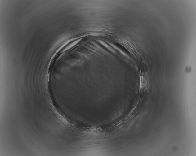 X0000097910243200803281409