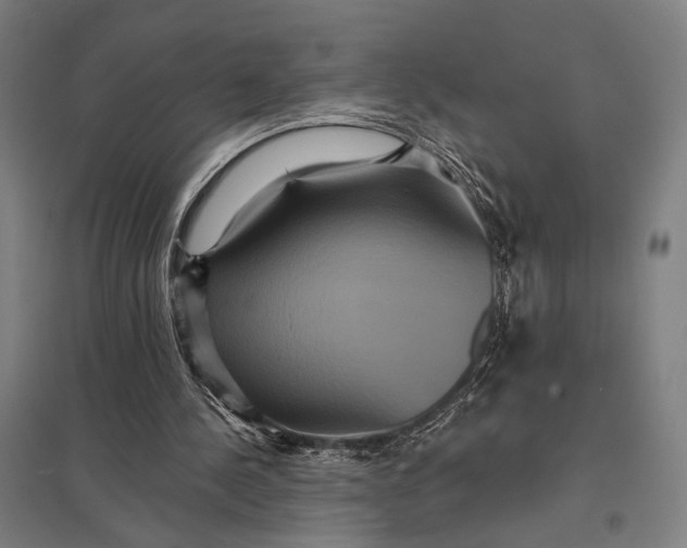 X0000097910244200803281409