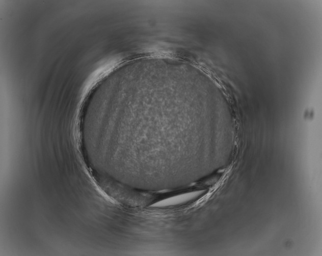 X0000097910245200803281409