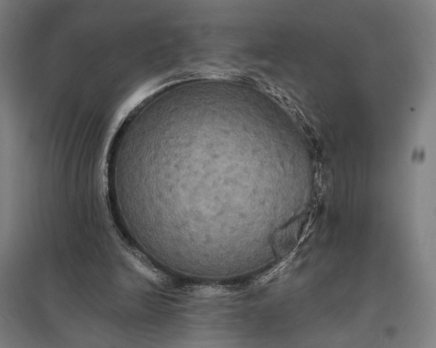 X0000097910246200803281409