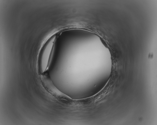 X0000097910248200803281409