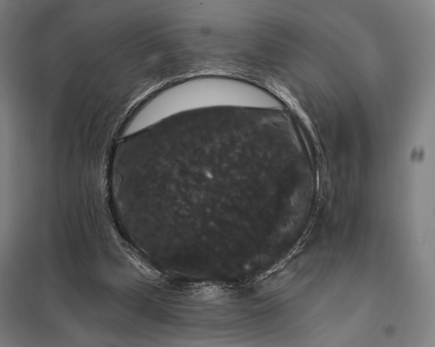 X0000097910249200803281409