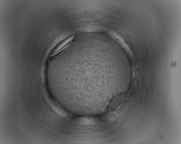 X0000097910250200803281409