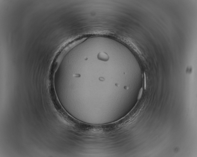 X0000097910252200803281409