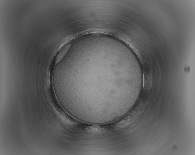 X0000097910253200803281409