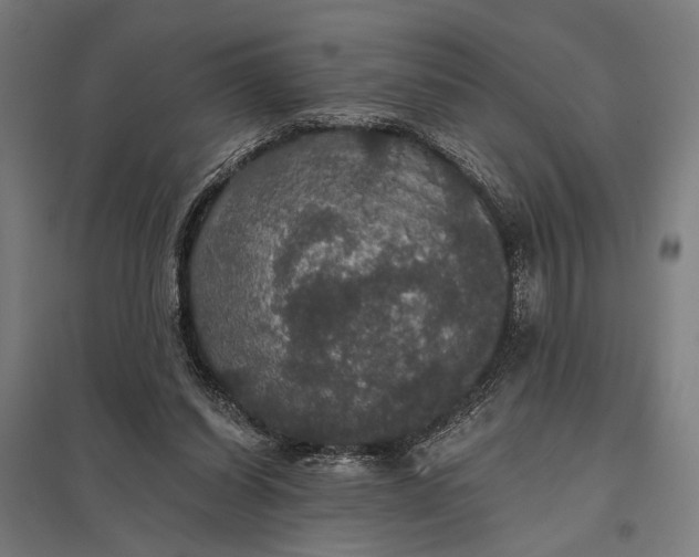 X0000097910254200803281409