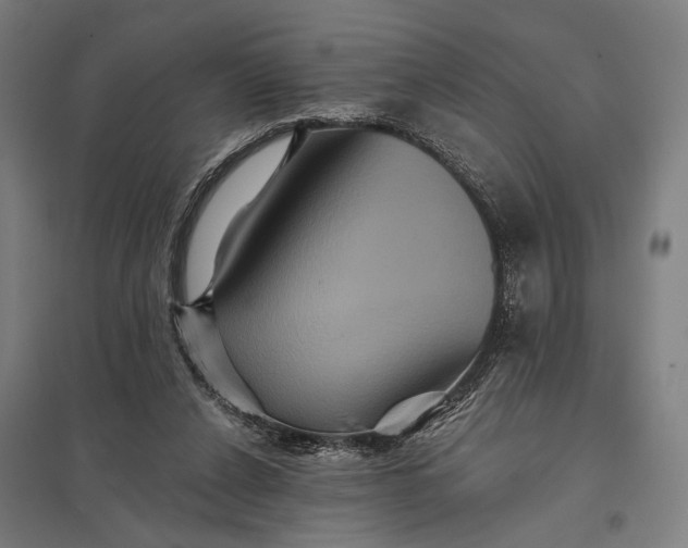 X0000097910256200803281409