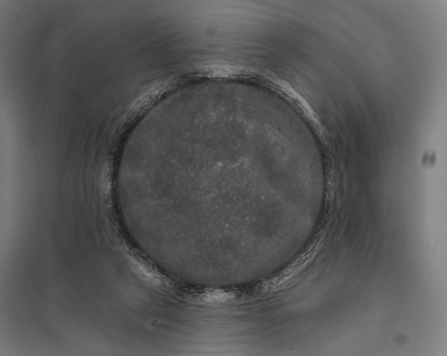 X0000097910257200803281409