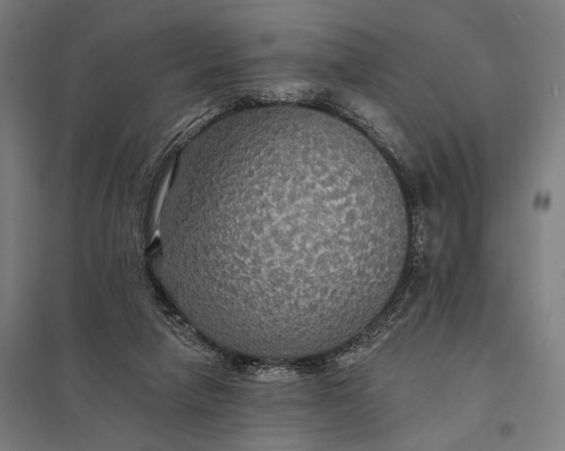 X0000097910258200803281409