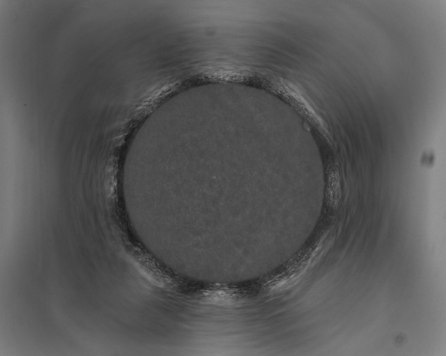 X0000097910259200803281409